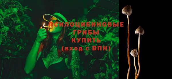 PSILOCYBIN Приозерск