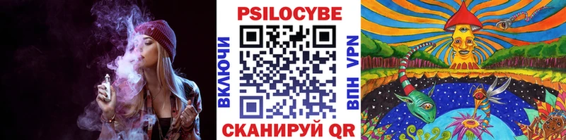 Галлюциногенные грибы GOLDEN TEACHER  закладки  Алапаевск 