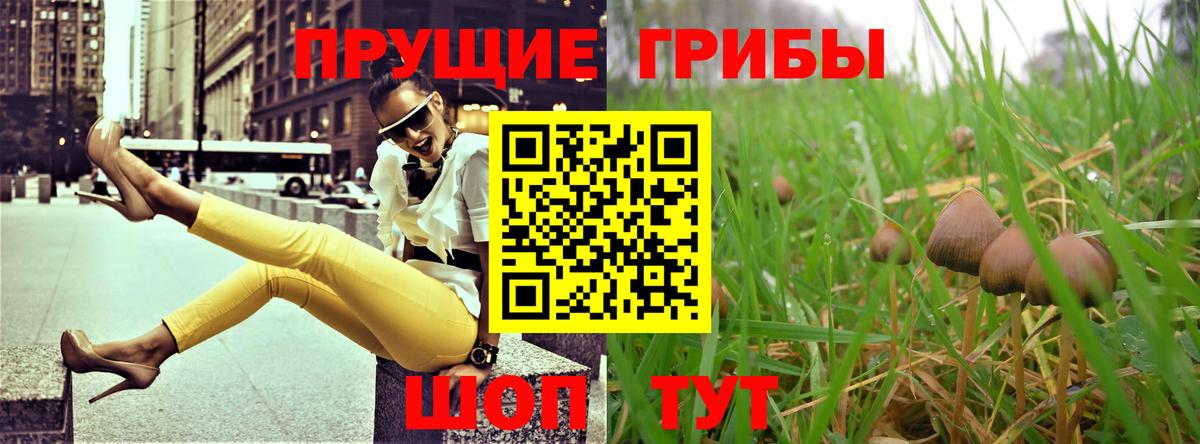 Галлюциногенные грибы MAGIC MUSHROOMS Алапаевск